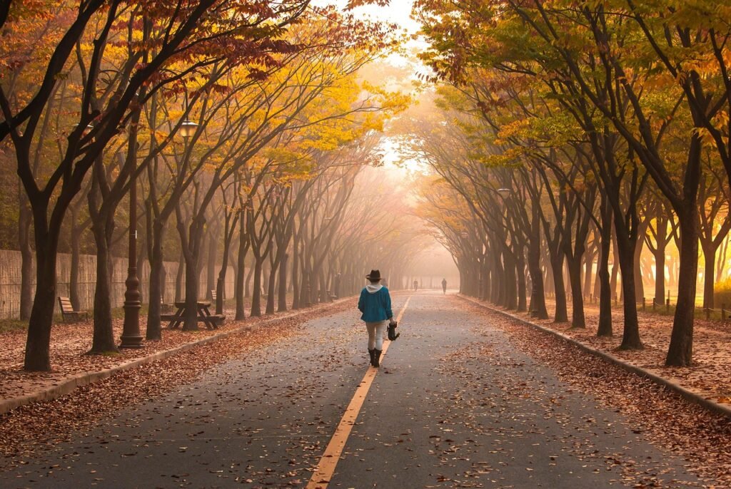 mindful walking in nature to reduce anxiety.